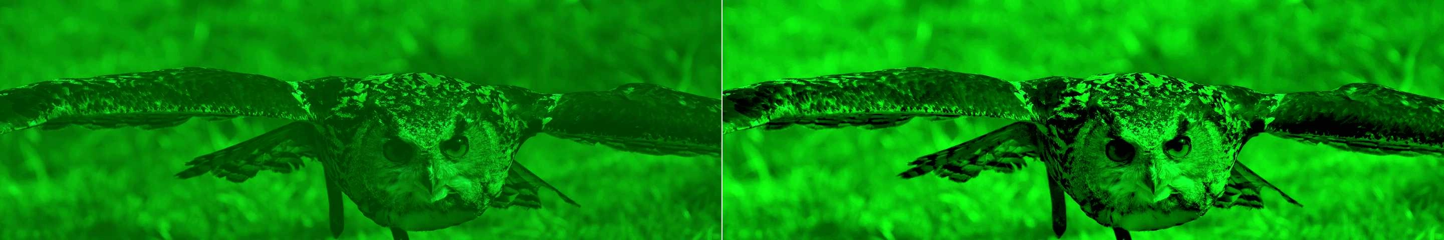 Image from nightvision device